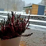 Osada Pod Lasem 3* Andrychów