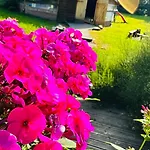 Osada Pod Lasem Andrychów