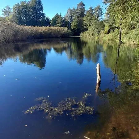 Osada Pod Lasem アパートホテル Andrychów