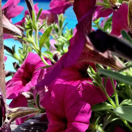 Osada Pod Lasem アパートホテル Andrychów