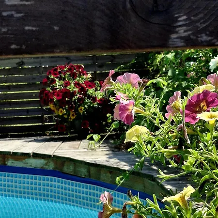 アパートホテル Osada Pod Lasem 3*