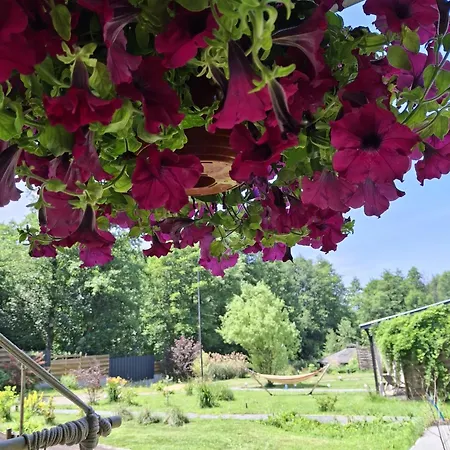 Osada Pod Lasem アパートホテル 3*