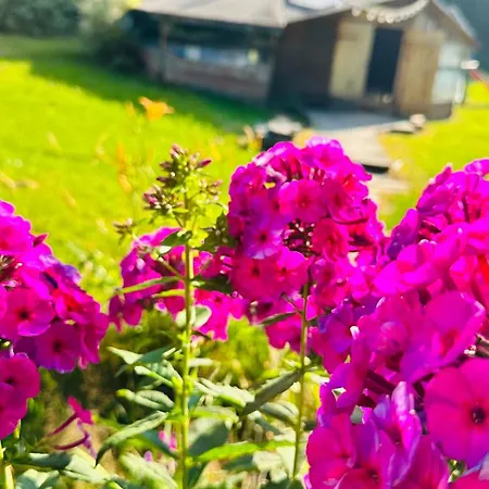 Osada Pod Lasem 3* Andrychów