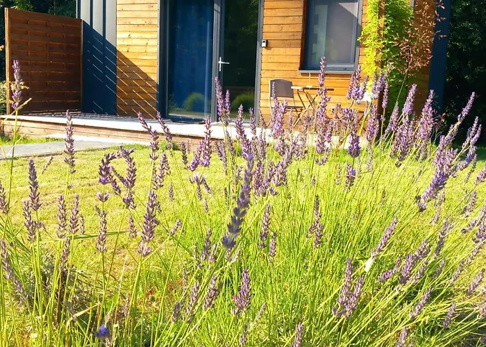 Osada Pod Lasem 3* Andrychów