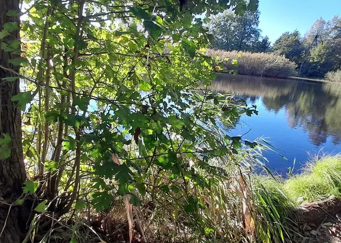 Osada Pod Lasem Andrychów