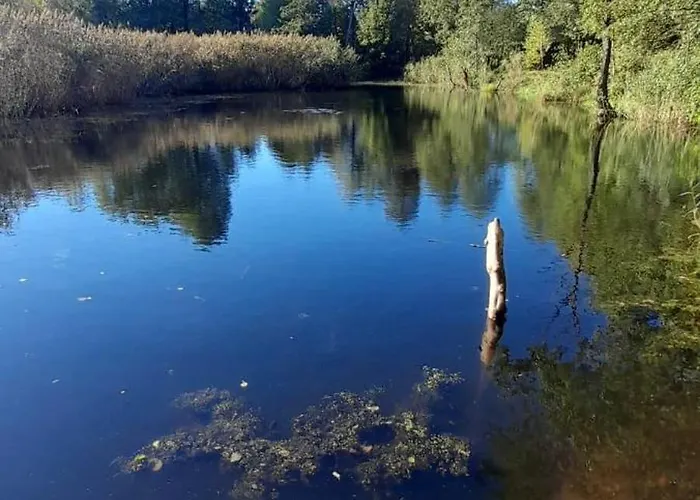 Osada Pod Lasem Aparthotel Andrychów