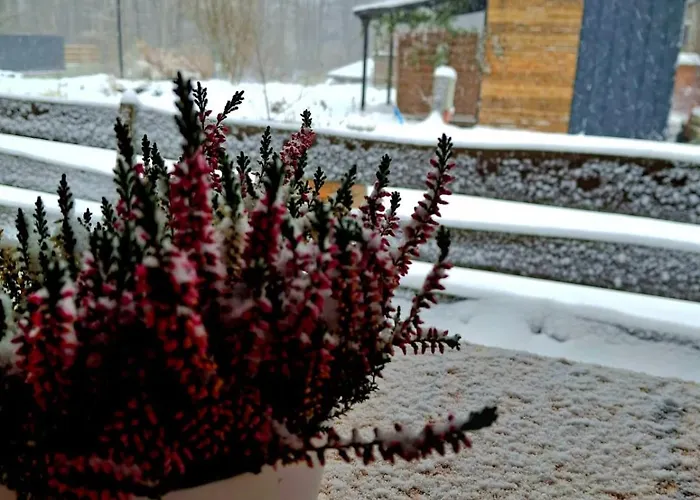 Osada Pod Lasem 3* Andrychów