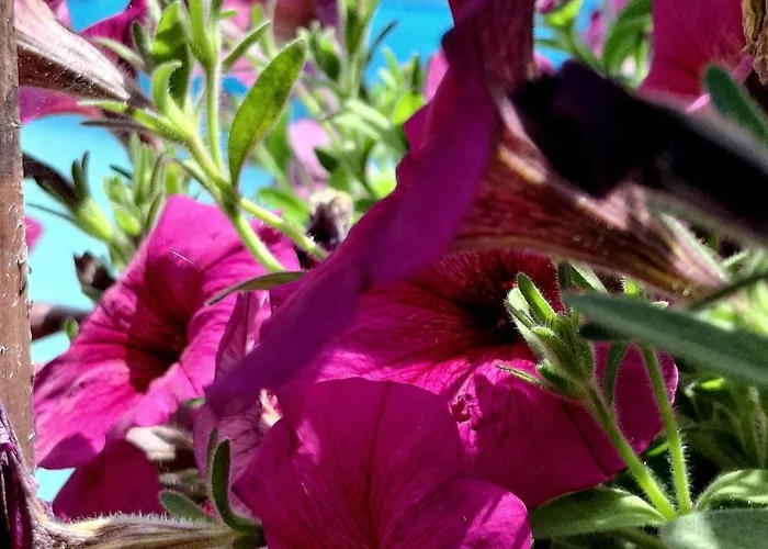 Osada Pod Lasem Aparthotel Andrychów