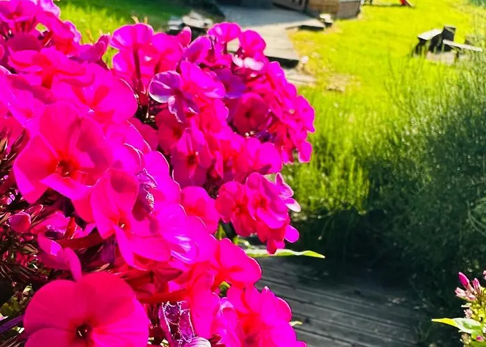 Osada Pod Lasem Andrychów