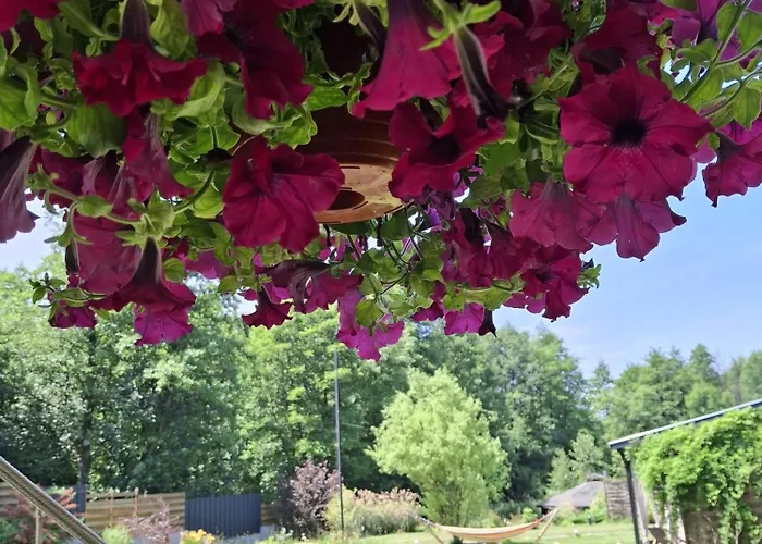 Osada Pod Lasem Aparthotel 3*