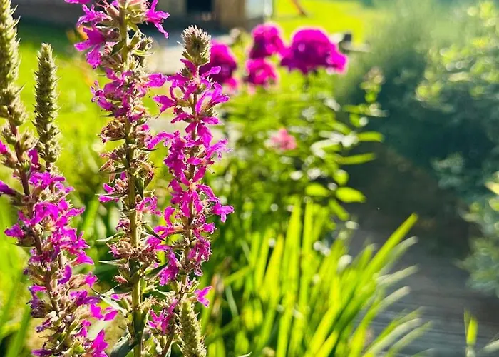 Osada Pod Lasem Andrychów