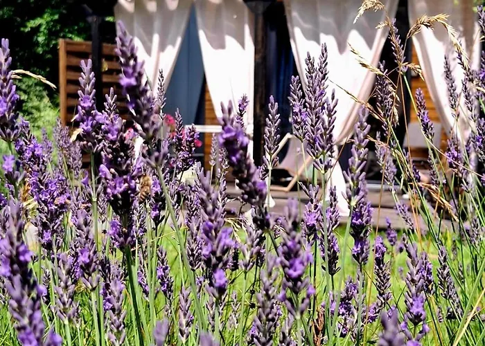 Aparthotel Osada Pod Lasem