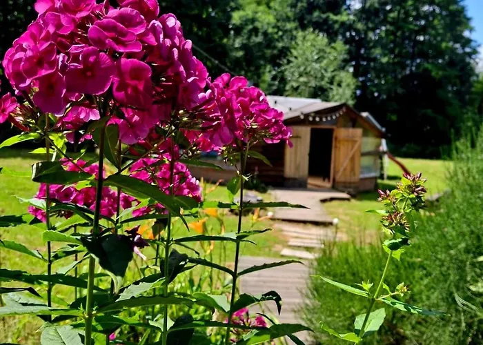 Aparthotel Osada Pod Lasem 3*